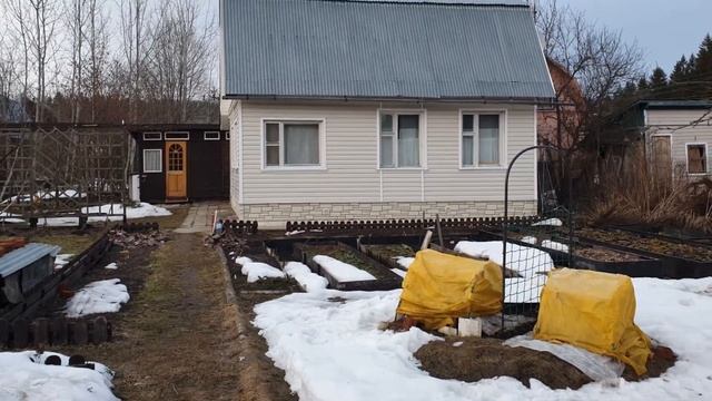 Ошибки прошлогоднего укрытия роз ? Зимовка ❄ роз в Московской области смотреть онлайн