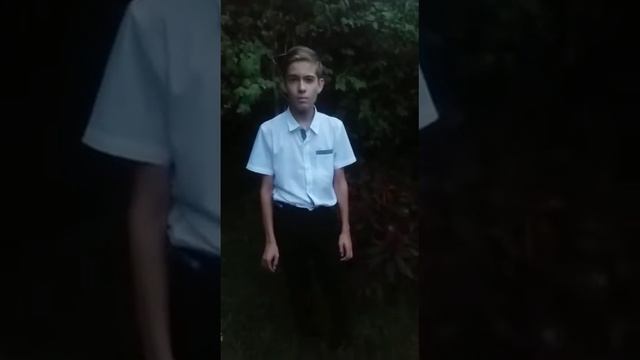 С. Есенин - Собаке Качалова. смотреть онлайн