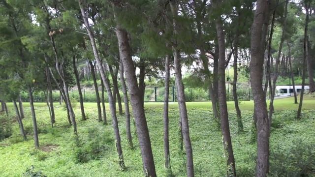 Sony NEX-5 video sample смотреть онлайн