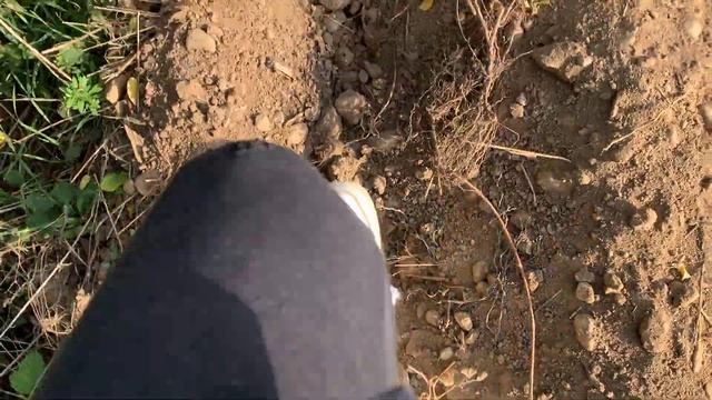 Went on a walk in a dirt field with Nike Air Force 1 AN20 смотреть онлайн