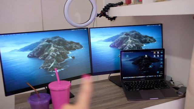 ASUS VA24EHE eye care monitors: FIRST TIME MULTI-MONITOR DESK SETUP смотреть онлайн