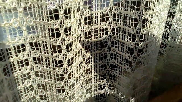 Keba pljeska(kabby patty)izazov: SPECIJAL ZA 100 VIDEO I GODINU KANALA!!!part 2 смотреть онлайн