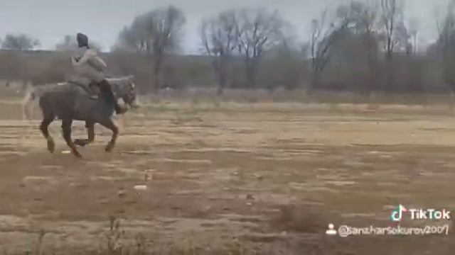 Это я смотреть онлайн