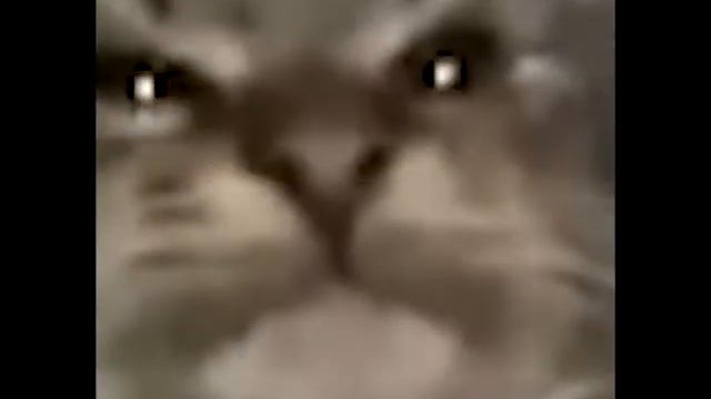 Кит ты маму мав? смотреть онлайн