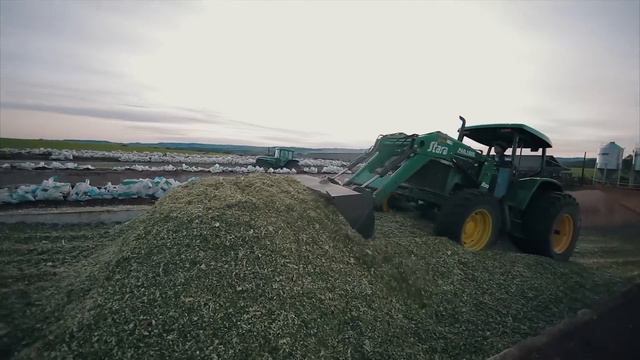 Silagem de Alta Qualidade é Produzida na Fazenda Rio da Paz смотреть онлайн