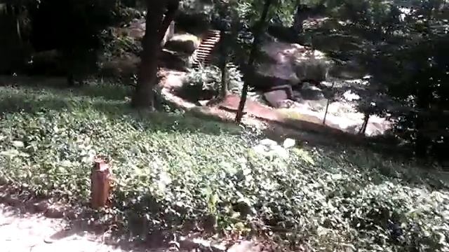 Софиевский парк, Умань