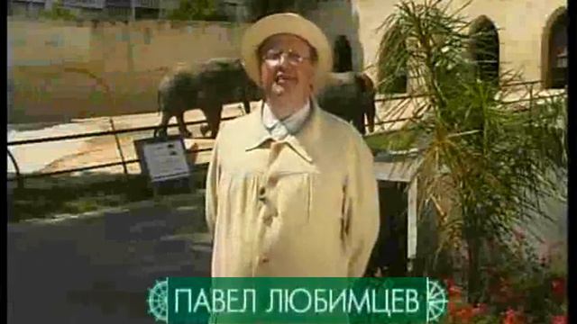 Португалия Путешествия натуралиста смотреть онлайн