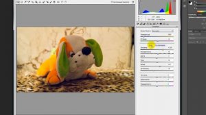 Работа с RAW файлом в Adobe Photoshop CS6