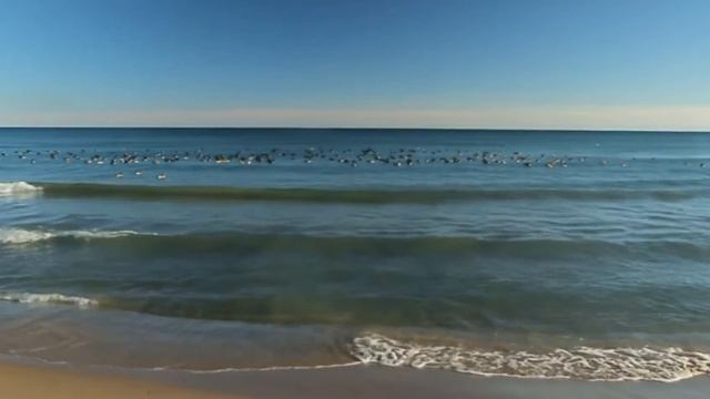 LakeView Park-Oshawa,Ontario CANADA