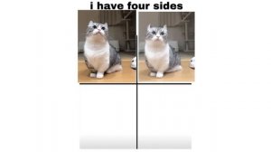 БАНАНЧИКИ ? — ОТКУДА МЕМ?