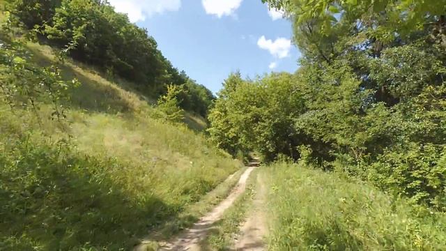 Райская яблоня-урожая нет 22.07.2021 г. смотреть онлайн