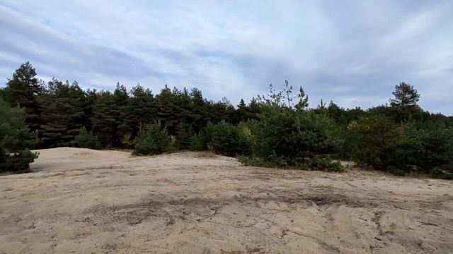 Продолжение. Прогулка на квадроциклах в лесу. #квадрик #украина #павлоград смотреть онлайн