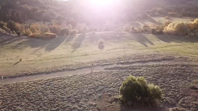 Patagonia Run MHW 2022 - VIDEO OFICIAL | OFFICIAL VIDEO смотреть онлайн