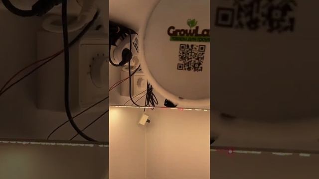 Гроубокс Стелс Minifermer 60W смотреть онлайн