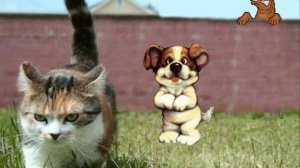 Деревенское житие-бытие...