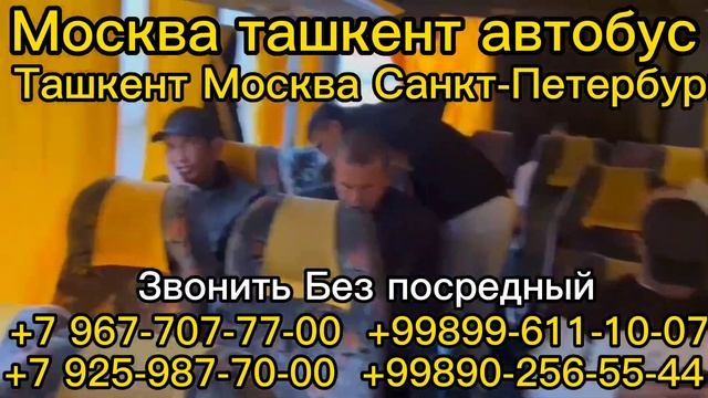 Москва ташкент автобус +7 967-707-77-00 #новости #рекомендации #рек #безпосредников смотреть онлайн