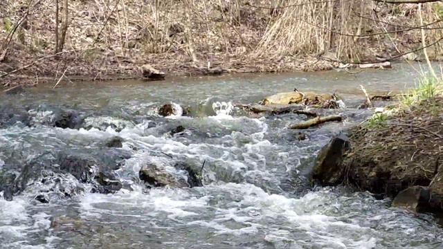 Ручей в заповеднике, село Политотдельское смотреть онлайн