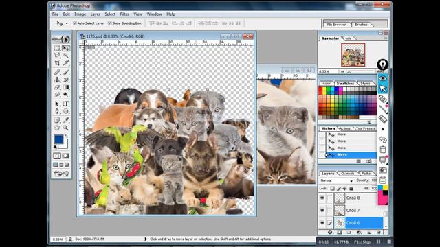 dog and cat png psd data new 2019 free download смотреть онлайн