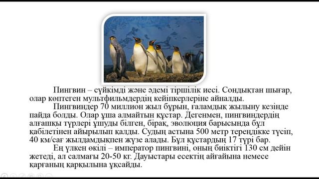 4 сынып қазақ тілі 89 сабақ. Қазақ тілі 4 сынып 89 сабақ смотреть онлайн
