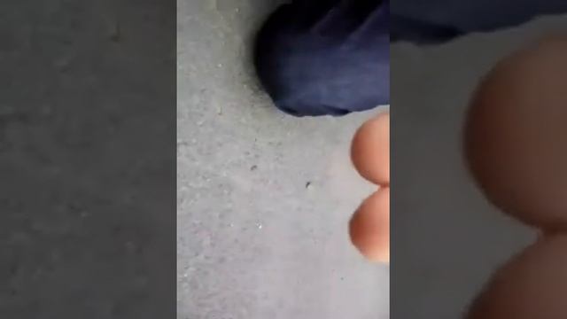 Как сделать пистолет из шариковой ручки своими руками смотреть онлайн