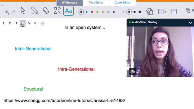 Social Mobility | Sociology | Chegg Tutors смотреть онлайн