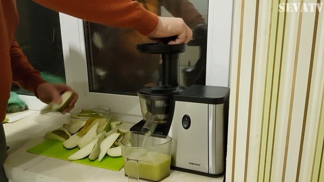 Зоопарк и Дикие Животные