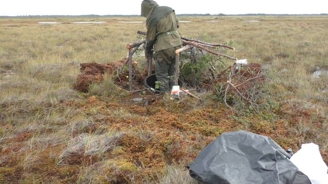 Болотный скрадок смотреть онлайн
