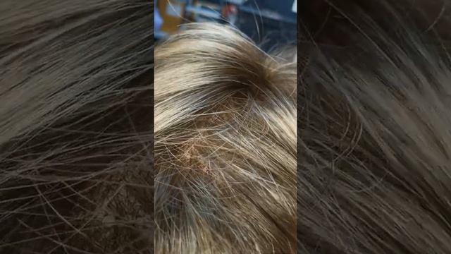 РЫНОК САДОВОД, КОРПУС А 2-3-18, КОРПУС Б 1-3-17 смотреть онлайн