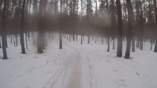 5й этап Зимнего Кубка XCNews 2022-2023. Вид вперёд смотреть онлайн