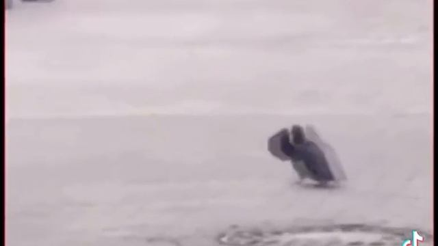 9b8b7daea567c19bd458cd5f3ee88ca0.mp4