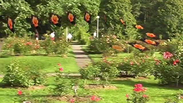 Розарий Ботанический сад 2015 г смотреть онлайн