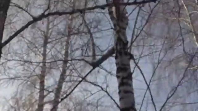 АВТОБУС маршрут 142 город Тюмень.mp4 смотреть онлайн