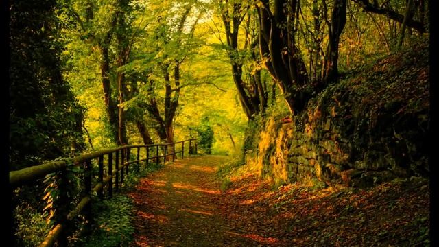 ?A CHARMING AUTUMN SERENITY?