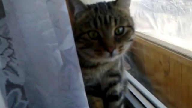 Злюка смотреть онлайн