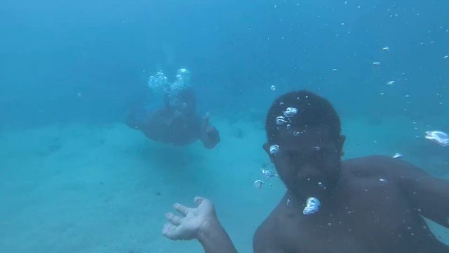 Diving capturing underwater water with Samsung Note 20 ultra смотреть онлайн