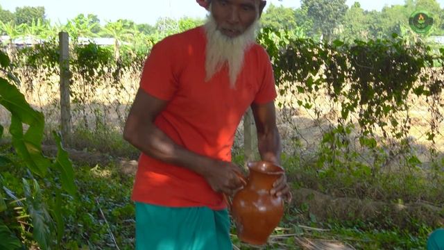 30 KG Giant Grouper Fish Vuna - Big Vol Fish Cooking in Village - Fish Curry for Special people смотреть онлайн