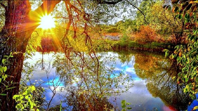 Раскрытие и энергоинформационная составляющая человека. Рабская психология.