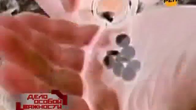 Передача о собаках смотреть онлайн