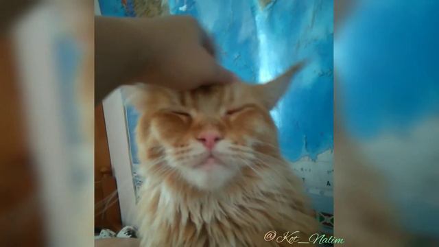 Ещё, ещё... смотреть онлайн