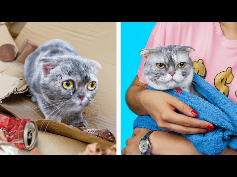 Творить добро – это так просто!.mp4 смотреть онлайн