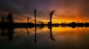 БОЛЬ ЗЕМЛИ (часть 3)