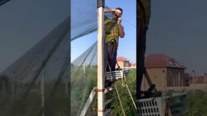 Затеняющая сетка для малины