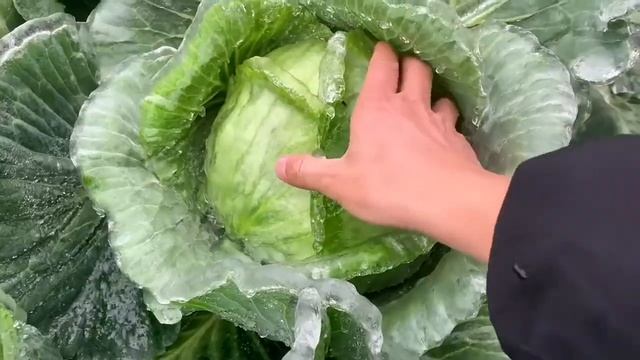 Satisfying Video With Calming Deep Sleep Music