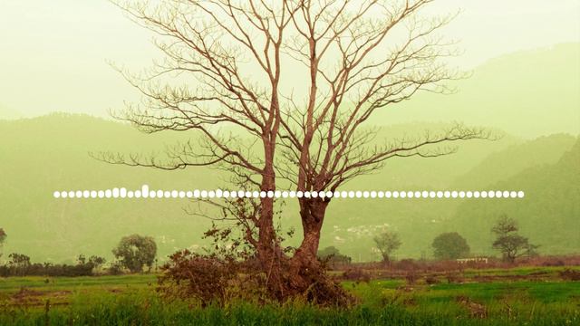 Даргинская - Чарухъен