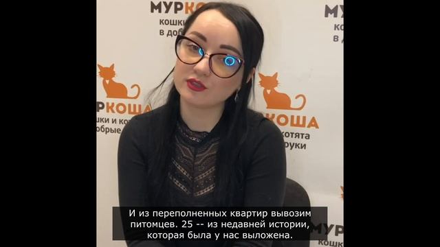Берёт ли приют животных бесплатно? смотреть онлайн