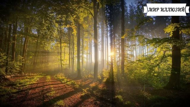 Подаренная много лет назад детская игрушка, перевернула всю жизнь этой милой девушки. Но когда... смотреть онлайн