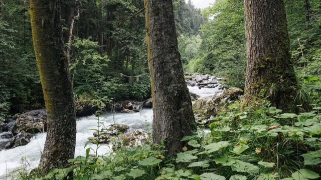 Relax Music for Meditation and deep Sleep Релакс Музыка для Медитации и глубокого Сна смотреть онлайн