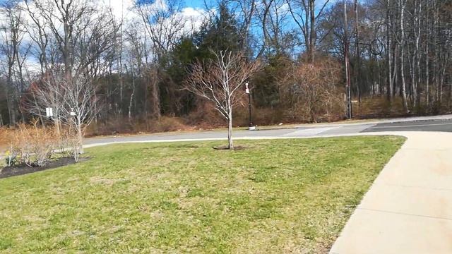 Старшая школа в США. Как оформить ребенка в школу, какие особенности обучения, обзор территории смотреть онлайн