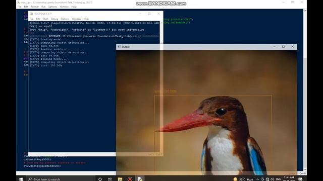 Object Detection Using Python #opencv2 смотреть онлайн
