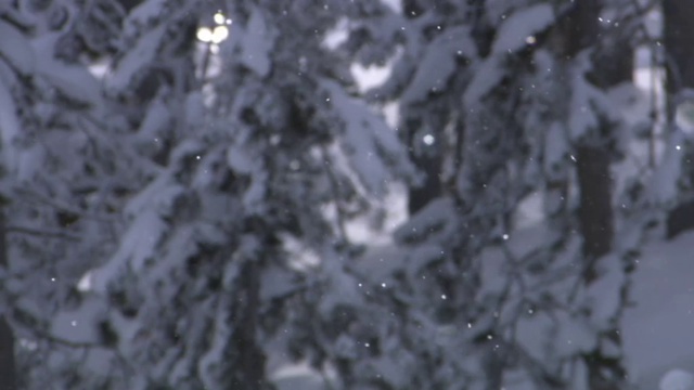 Tatevik Hovhannisyan - Dzyunn E Khosum (HQ Version)